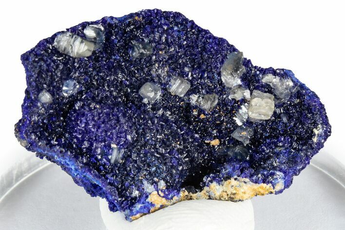 Cerussite Crystals on Sparkling Azurite - Congo #348521